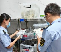 芜湖市湾沚区市场监管局：严把开学食安关口 护